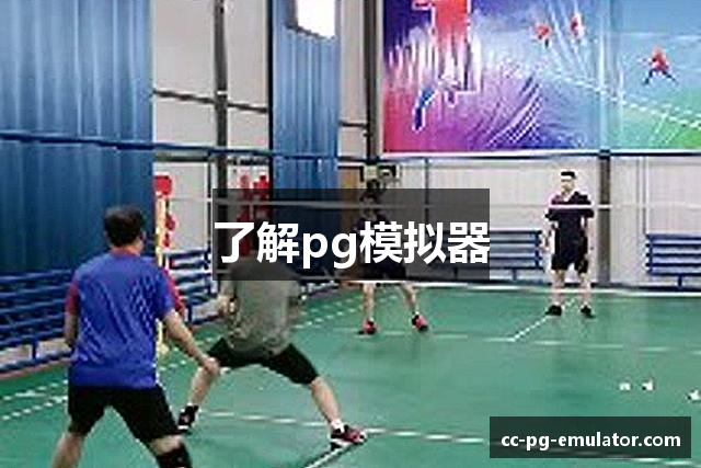 了解pg模拟器